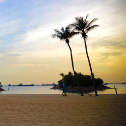 会员开通网站的呼死你免费试用在线